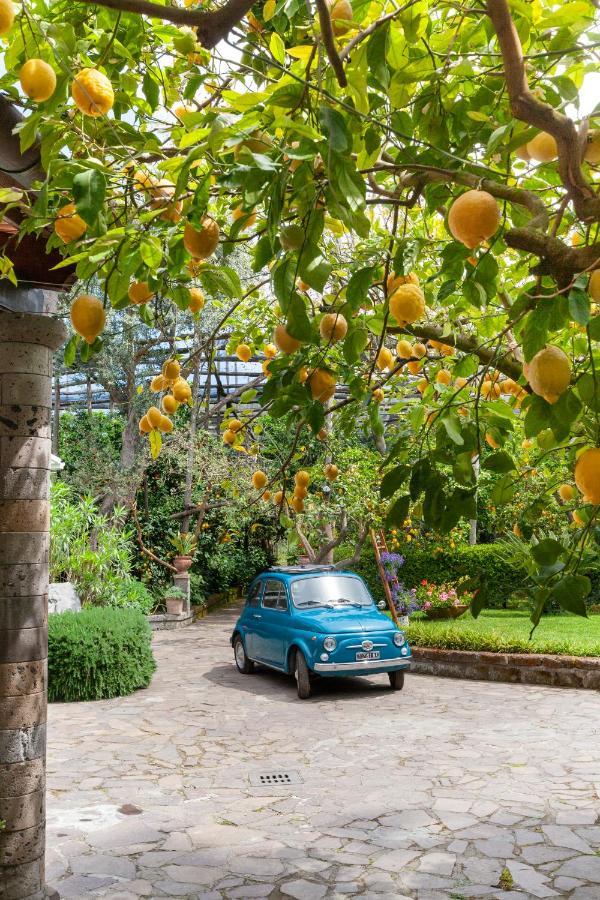 Villa Maresca B&B Piano di Sorrento Bagian luar foto