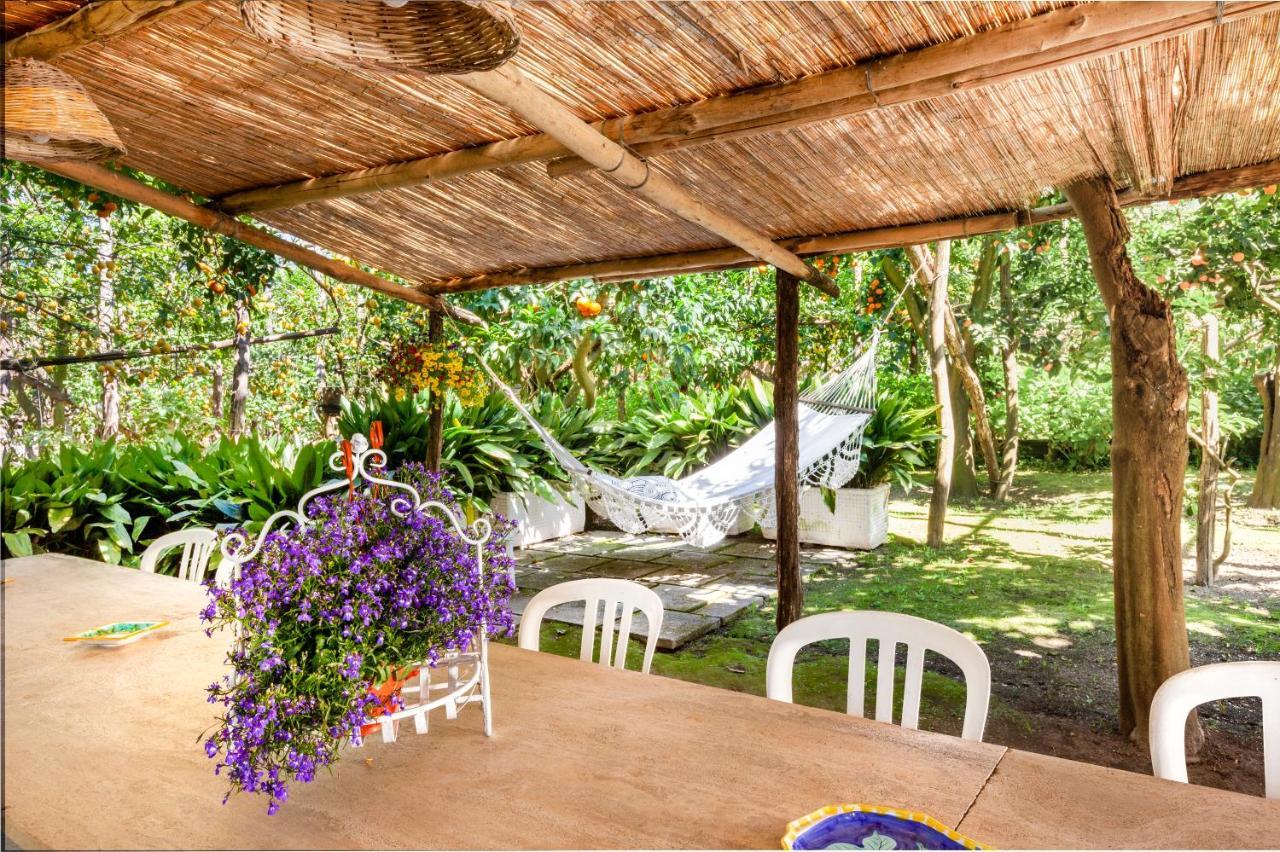 Villa Maresca B&B Piano di Sorrento Bagian luar foto