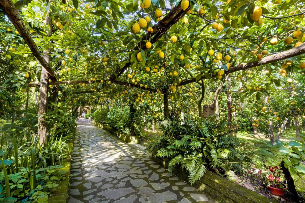 Villa Maresca B&B Piano di Sorrento Bagian luar foto